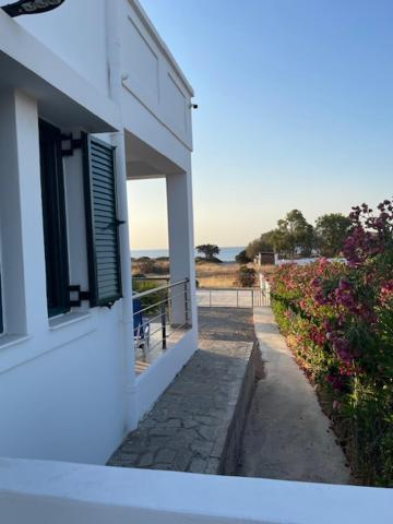 Villa Kelly's House